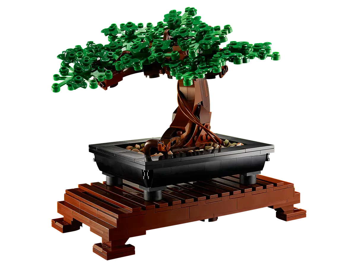 Albero Bonsai 10281