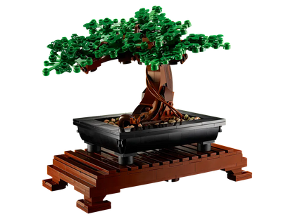 Albero Bonsai 10281