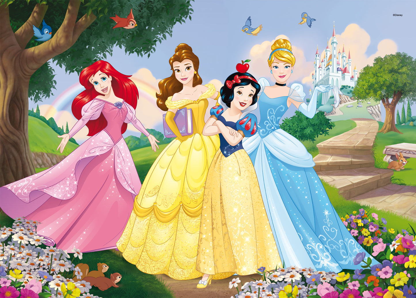 DISNEY PUZZLE DF MAXI FLOOR 35 PRINCESS