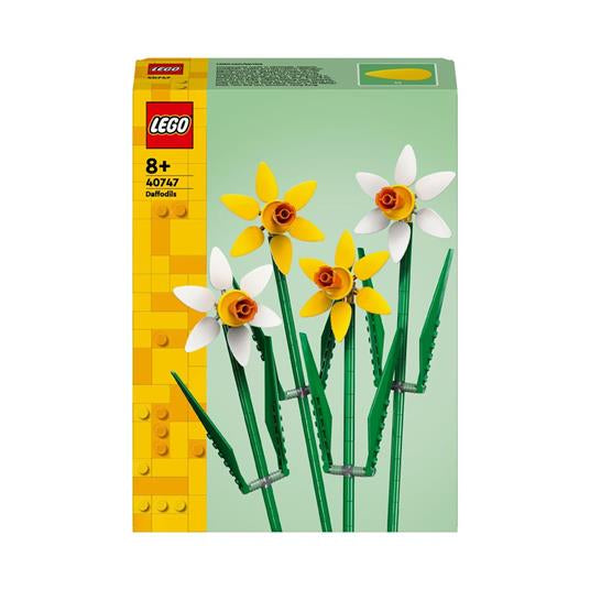 40747 Flowers Narcisi