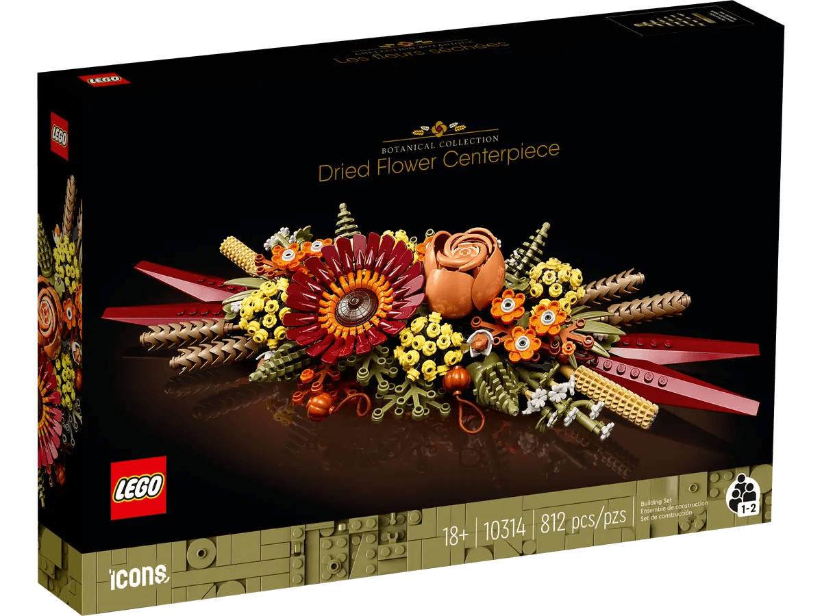 Centrotavola di fiori secchi 10314 - Locotoys