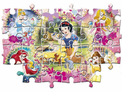 Puzzle Princess 2x60 - Locotoys