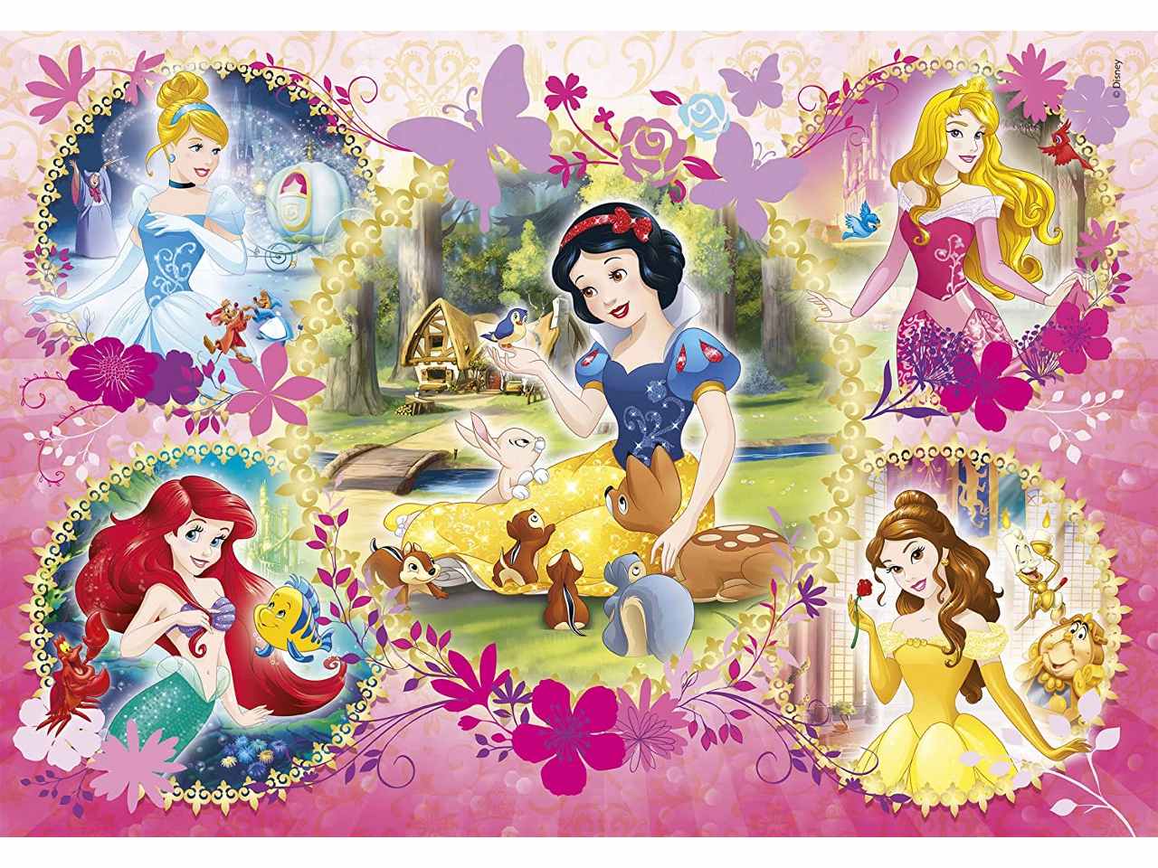 Puzzle Princess 2x60 - Locotoys